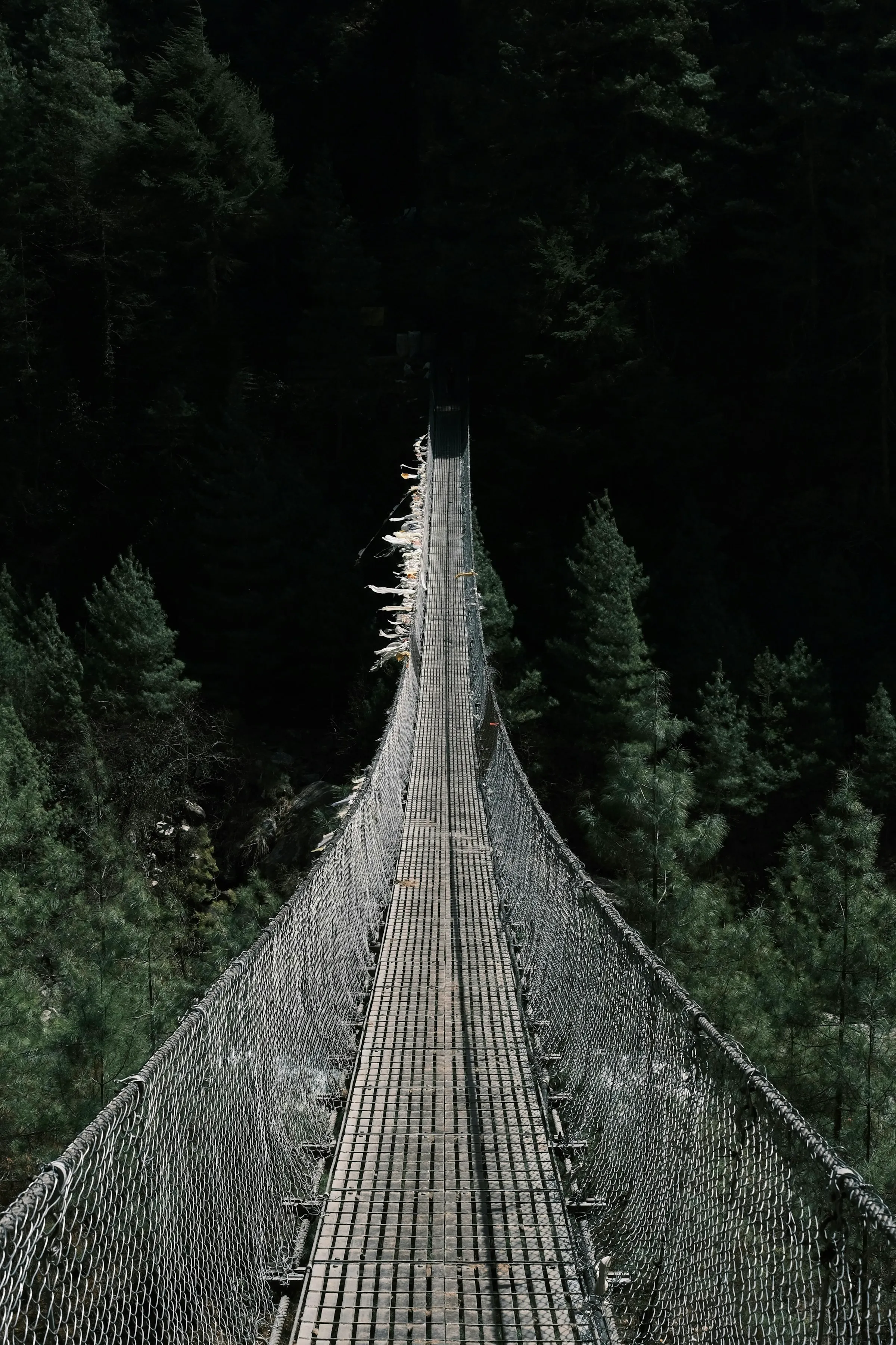 Suspension bridge hung with prayer flags on the way to Namche